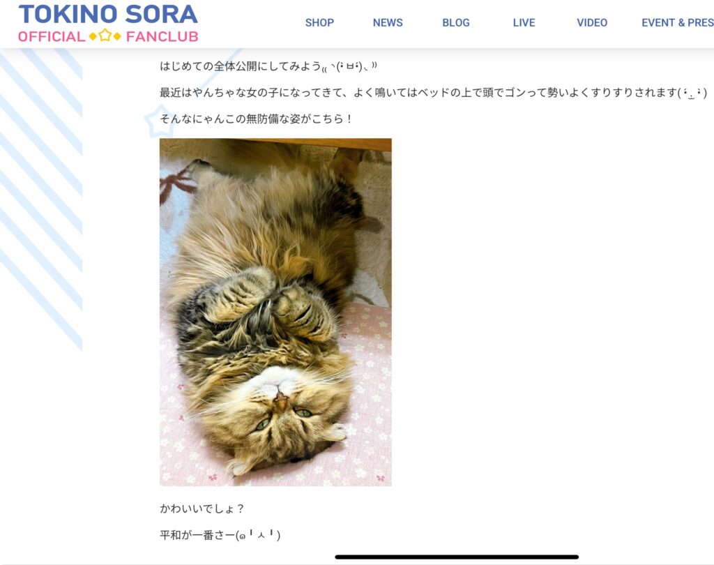 ときのそら　前世