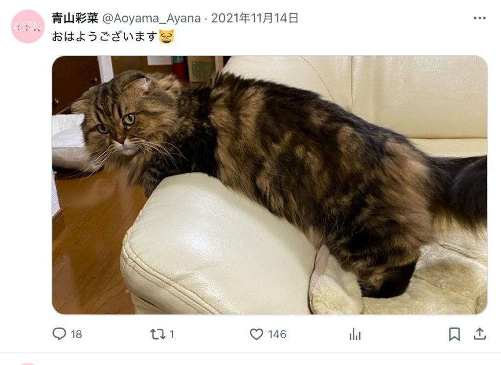 ときのそら　前世
