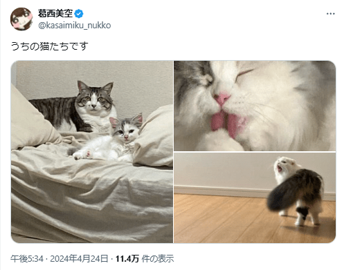 虎金妃笑虎　前世