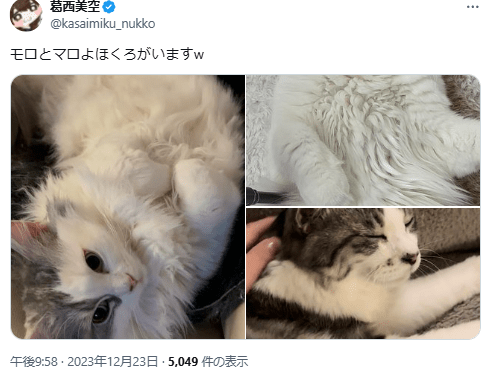 虎金妃笑虎　前世