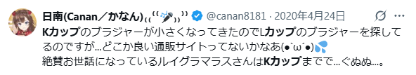 白銀ノエル　前世