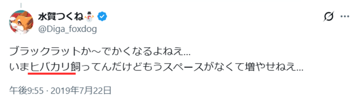 黒井しば　前世